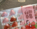 京鲜生 红颜奶油草莓 1斤装 15-20颗 单果22g+  生鲜年货水果 实拍图