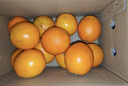 京鲜生 赣南脐橙 净重10斤 铂金果 单果180g起 生鲜水果橙子年货礼盒  实拍图