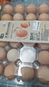 【无抗】大码鲜鸡蛋1.8kg 实拍图