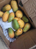 京鲜生海南小台农芒果 净重4.5斤 单果70g+ 新鲜水果 源头直发 实拍图