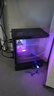 微星（MSI） i5 13400F升i5 14400F/RTX3060/4060/5060Ti电竞吃鸡游戏设计渲染台式组装电脑主机整机DIY组装机 配置一i5 12400F丨GTX1660Ti 6G 实拍图