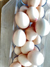 德青源PLUS联名款A+级鲜鸡蛋32枚2.74斤无抗生素 源头直发 1件包邮 实拍图