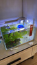 YEE超白鱼缸桌面客厅生态斗金鱼乌龟缸造景小型水草养鱼玻璃裸缸40cm 实拍图