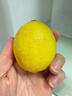 京鲜生 安岳黄柠檬 8粒 单果95g起 生鲜水果 实拍图