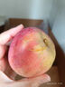 京喜加正宗红富士丑苹果脆爽多汁应季红富士苹果新鲜苹果多仓混发 整箱9斤净重8斤A+级大果【果径75-80】 实拍图