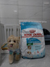 皇家狗粮幼犬奶糕幼犬狗粮宠物小型犬MIS30全价犬粮 ≤2月10KG 实拍图