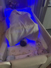 小二蓝黄疸蓝光灯家用新生儿黄疸照蓝光烤黄疸婴儿蓝光箱宝宝照黄疸仪器 买蓝光灯箱+租检测仪5天押金另拍 实拍图