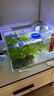 YEE超白鱼缸桌面客厅生态斗金鱼乌龟缸造景小型水草养鱼玻璃裸缸40cm 实拍图