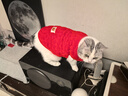 萌嘟星宠宠物狗狗衣服猫咪小猫小狗泰迪比熊新年保暖服饰 螺纹背心L号 实拍图