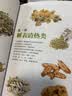 药用植物图鉴+中草药图鉴套装（全2册）生活百科全图鉴 实拍图