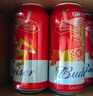百威啤酒mini罐淡色拉格255ml*12听整箱装京东自营喜酒新年送礼 实拍图