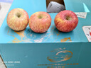 洛川苹果陕西延安时令苹果水果礼盒礼品苹果生鲜新鲜脆甜整箱好吃 40枚80mm量贩装 礼盒款 实拍图
