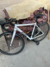 喜德盛公路自行车25款RC200成人车14速变速车 白灰700C*510MM 实拍图