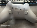 飞智冰原狼4多模版无线游戏手柄 类xbox 力调节摇杆双切扳机 switch电脑PC手机steam体感NS 丝之歌 实拍图
