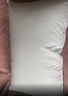 水星家纺枕头枕芯酒店枕头护颈枕头芯家用一对纯棉抗菌可水洗中枕48x74cm 实拍图