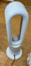 戴森（DYSON）AM15无叶凉暖风扇 凉暖两用 家用取暖器 快速制暖 整屋循环 实拍图