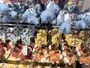 Kocotreekk树儿童手套保暖翻盖小学生写字五指手套软糯防寒 实拍图