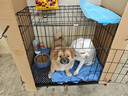 宠乐乖（CHONGLEGUAI）狗笼猫笼狗笼子中小型犬带厕所幼犬折叠便携猫笼子猫咪兔笼700ZG 实拍图