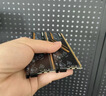 阿斯加特（Asgard）32GB DDR4 3200 台式机内存条 金伦加-黑橙甲 TUF联名款 适配黑神话悟空 实拍图