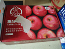 京鲜生 烟台红富士苹果 净重5.2斤/12粒  单果190-240g  水果礼盒 实拍图