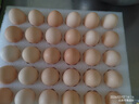 京鲜生柴鸡蛋30枚 3斤 无抗生素 谷物喂养鲜鸡蛋 源头直发 实拍图