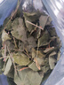 养益君淫羊藿100g精选整叶甘肃小叶淫羊藿茶又名仙灵脾做泡酒料男性滋补 实拍图