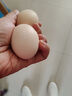 1号会员店富硒鲜鸡蛋30枚 源头直发 净重3斤 实拍图