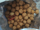 新边界（new boundaries）新疆薄皮核桃1500g 2025年新货阿克苏特产原味坚果非特级纸皮 实拍图
