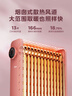 美的（Midea）【樱落】取暖器/电热油汀/油酊电暖器/电暖气家用/烤火炉/13片全屋升温速热/电热器烘衣加湿HYX22K 实拍图