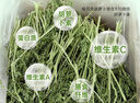 喜帅 烘干胡萝卜缨幼兔粮牧草垂耳兔粮干草龙猫豚鼠饲料500g净重/箱 实拍图