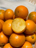 京鲜生 脆蜜金柑小糖豆 净重1斤 单果18g起 生鲜水果 实拍图