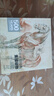 500年大师《素描动物》绘画册集教程临摹本精选篇进口技法艺术向达芬奇手稿学鲁本斯高清荷尔拜因基础教材书籍 实拍图