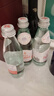 圣碧涛天然饮用水 意大利进口矿泉水气泡水 【无气】250ml*24瓶 实拍图