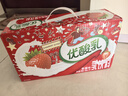 伊利优酸乳草莓味250ml*24盒乳饮料牛奶饮品 年货礼盒装 实拍图