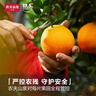 农夫山泉 17.5° 橙 净重10斤 铂金果 生鲜水果赣南地区脐橙橙子年货礼盒 实拍图