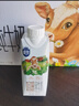 三元极致娟姗纯牛奶整箱250ml*10盒 年货礼盒【新老包装随机发货】 实拍图