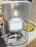 碧然德（BRITA）过滤净水器 家用滤水壶 净水壶 Marella 海洋系列白+专家版滤芯12枚（含附件） 实拍图
