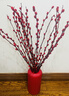 九月生新年装饰银柳真花20支60cm年宵花干花摆件礼盒送礼送亲友带花瓶 实拍图