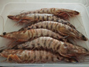 哆鲜生 海捕竹节虾 野外生长活冻国产斑节虾大花对虾九节竹节鬼虾虾类 竹节虾 特大号 5-6条 300g(净重) 实拍图