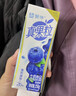 蒙牛真果粒蓝莓味牛奶饮品250g*12盒 小黄鸭IP 礼盒新老包装 含乳饮料 实拍图