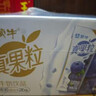 蒙牛真果粒蓝莓味牛奶饮品250g*12盒 小黄鸭IP 礼盒新老包装 含乳饮料 实拍图