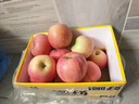 京鲜生山东烟台红富士苹果 5斤装单果75-80mm生鲜水果 源头直发 包邮 实拍图