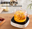 苏泊尔（SUPOR）电陶炉煮茶电磁炉家用电磁炉灶新型迷你小型简易大功率速热轻音火锅围炉煮茶炉C10-CS15 实拍图
