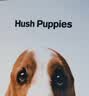 暇步士（Hush Puppies）男士皮带针扣经典复古潮流休闲百搭青年裤腰带生日礼物送男朋友 实拍图