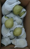 京鲜生 新疆特级库尔勒香梨 净重5斤单果120g以上 生鲜水果 春节也送货 实拍图