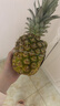 佳农 菲律宾进口菠萝 2个装 凤梨 单果净重2斤 生鲜水果源头直发 包邮 实拍图