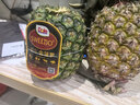 都乐Dole 菲律宾无冠凤梨 巨无霸1只净重2.6斤+  酸甜可口 源头直发 实拍图