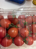 红千禧小番茄1kg 实拍图