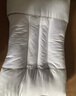 艾薇决明子枕头颈椎枕枕芯整头学生宿舍酒店睡眠枕头一只装  45*70cm 实拍图
