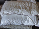 水星家纺枕头枕芯酒店枕头护颈枕头芯家用一对纯棉抗菌可水洗中枕48x74cm 实拍图